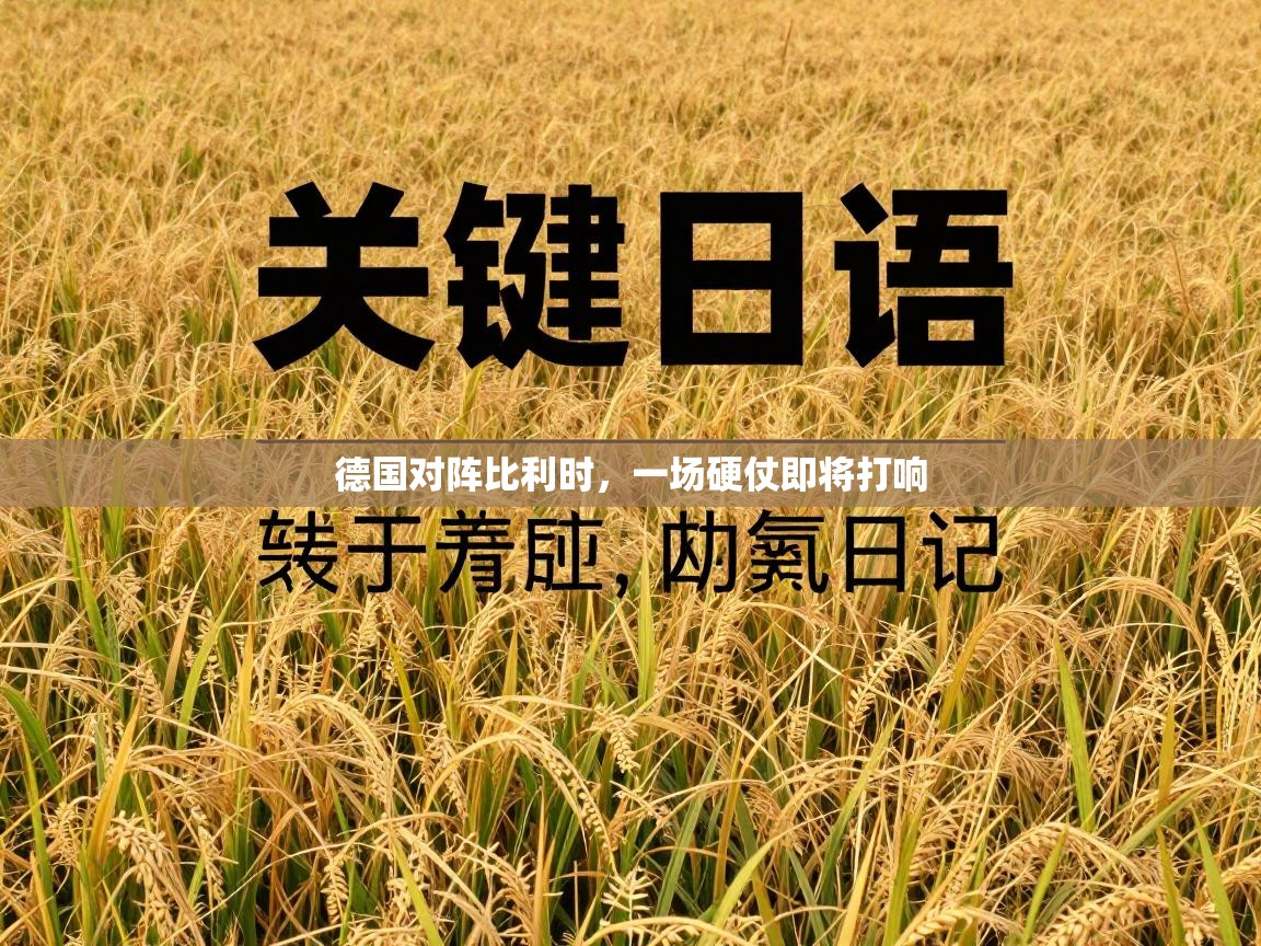 德国对阵比利时，一场硬仗即将打响  第1张