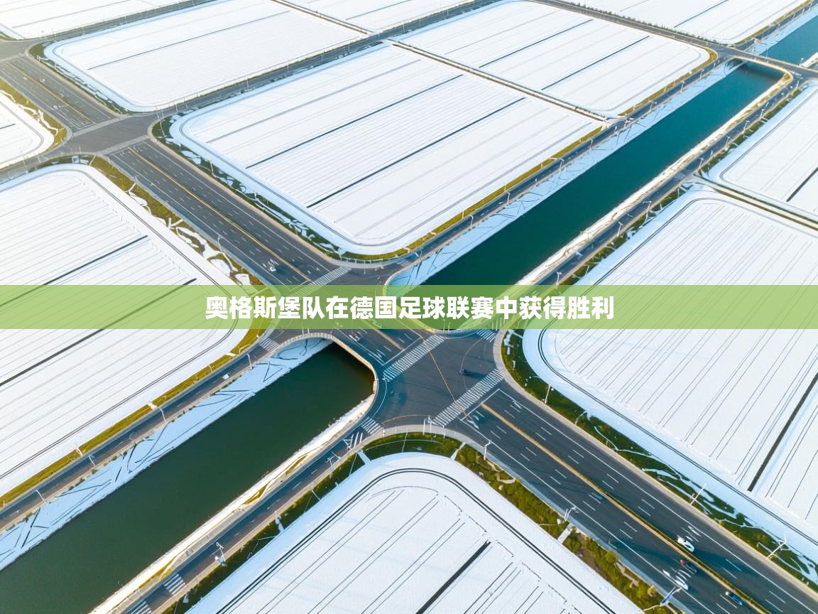 奥格斯堡队在德国足球联赛中获得胜利 奥格斯堡队在德国足球联赛中获得胜利