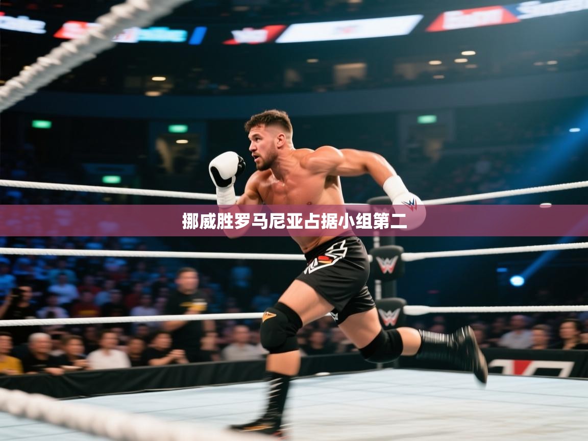 挪威胜罗马尼亚占据小组第二  第2张