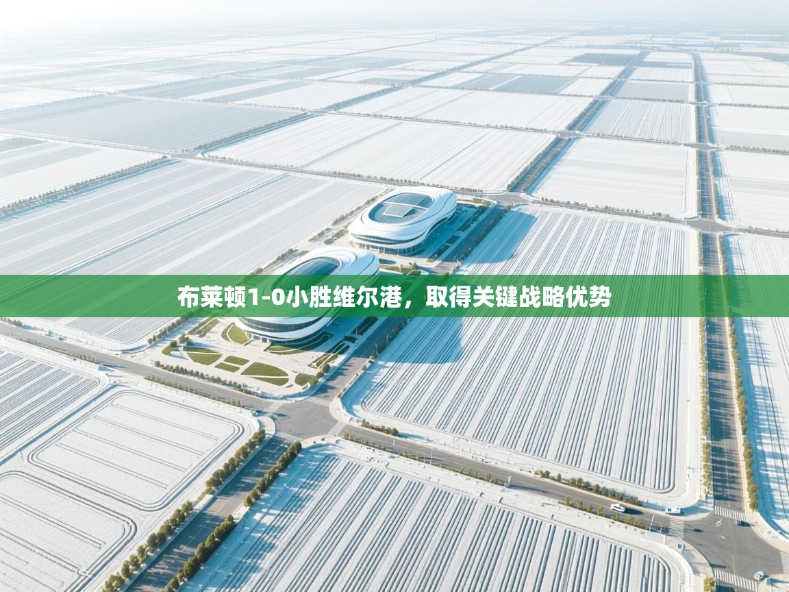 布莱顿1-0小胜维尔港，取得关键战略优势  第2张