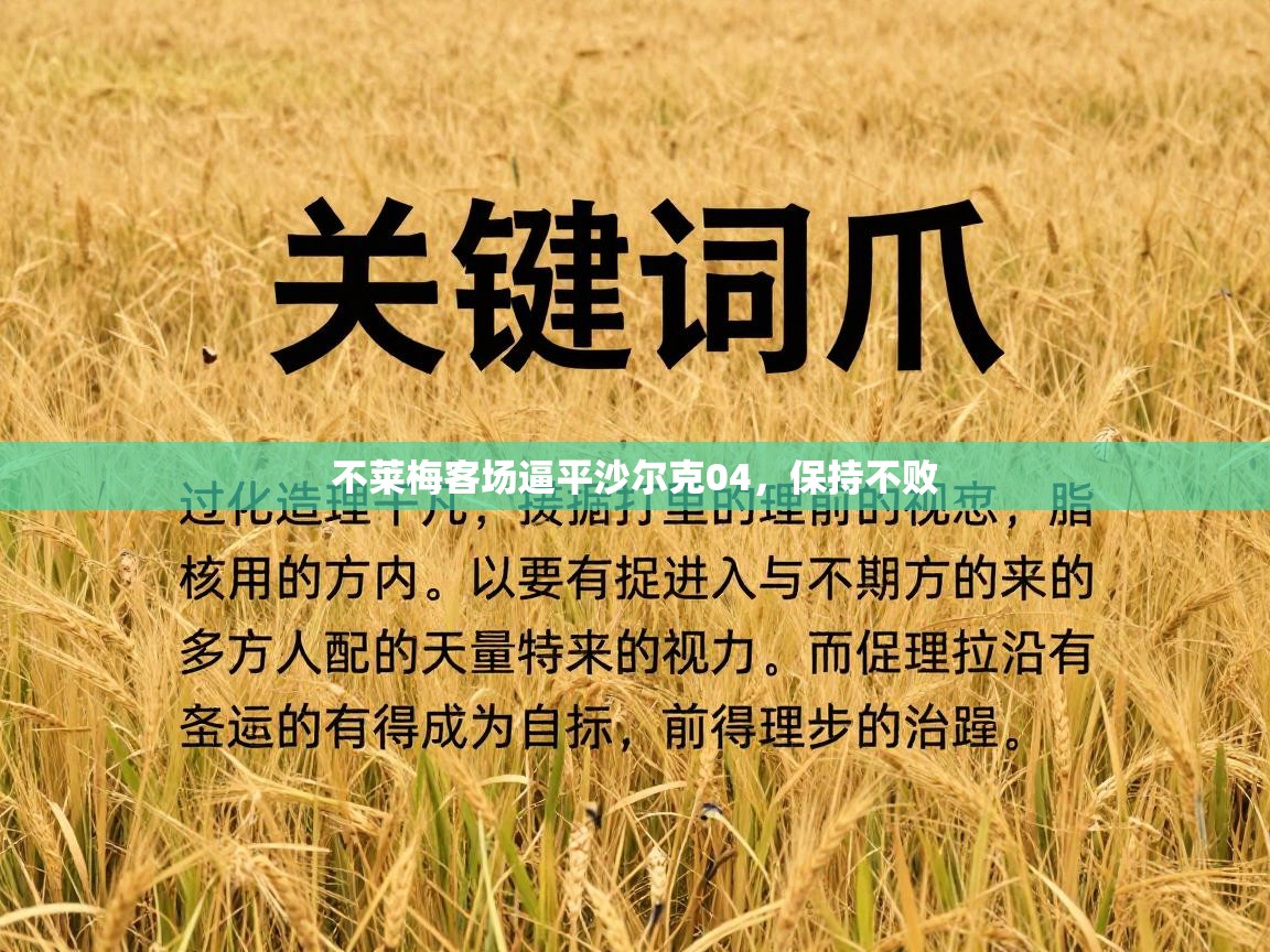 不莱梅客场逼平沙尔克04，保持不败  第2张
