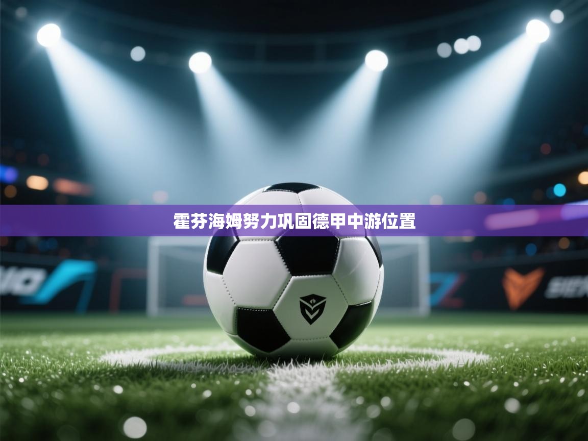 霍芬海姆努力巩固德甲中游位置