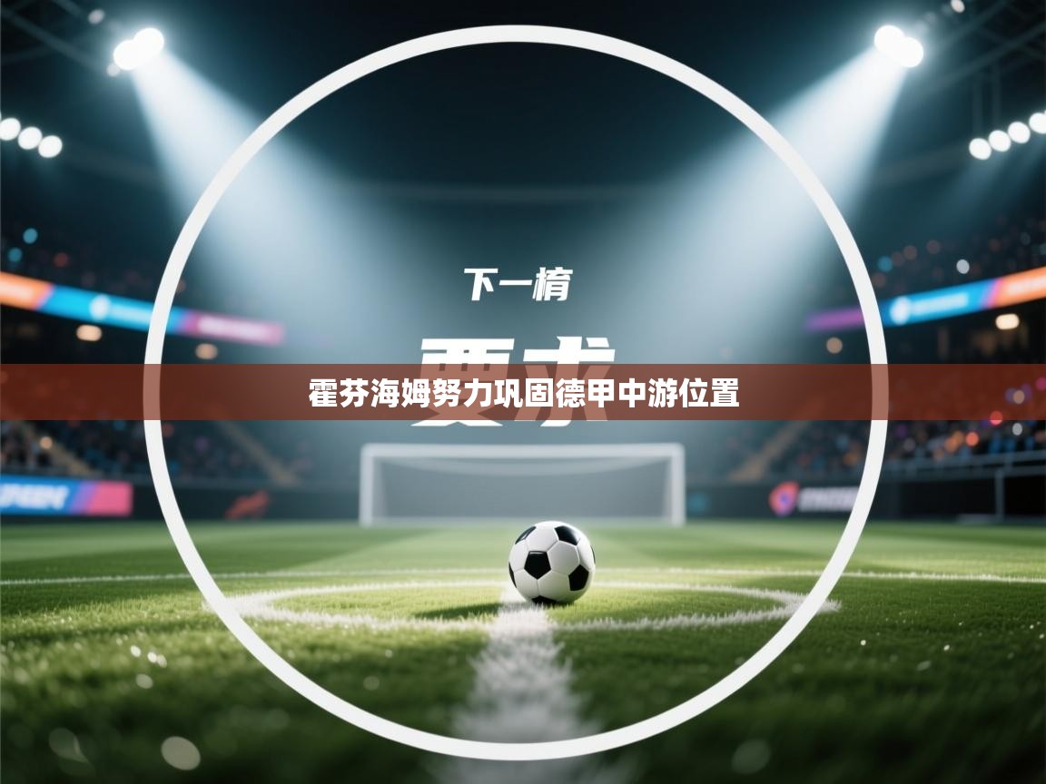 霍芬海姆努力巩固德甲中游位置