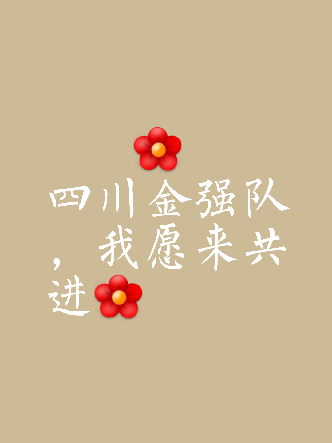 足球aoa-成都兴城重拾信心，豪取胜利震撼全场，继续努力向前的简单介绍