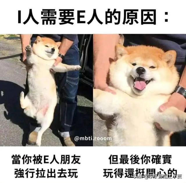 顶级得分手独揽三十分，率队大胜的简单介绍